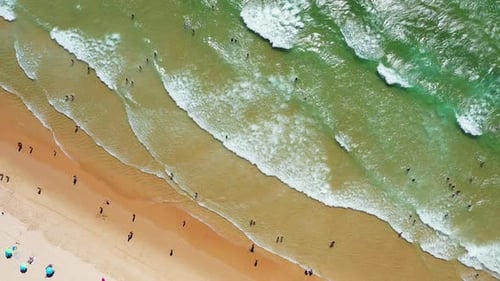 People Enjoying a Sunny Afternoon at the Beach With Waves and Umbrellas in Sight