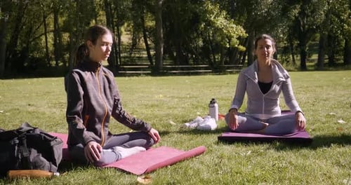 Friends Meditating on Yoga Mats in Sunny Park 2024 Years