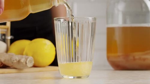Thé Kombucha Scoby Fungus, boisson fermentée au kombucha faite maison, bactéries et levures