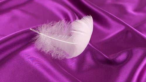 Purple Satin Fabric with White Feather