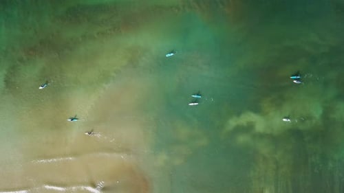 SUP surfers paddling along a Mediterranean coast