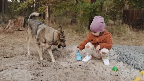Child and Dog Playing Together in the Sand