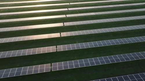 Aerial view of large solar panel farm in green fields at sunset