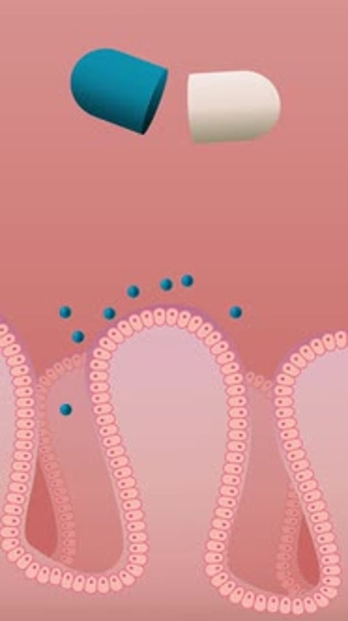 Medicine Capsule Disintegration and Absorption into Intestinal Villi Animation