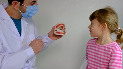 Dentist Explains Dental Hygiene to Child with Model