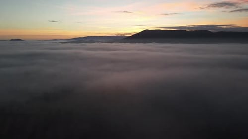 Foggy Afternoon Aerial View