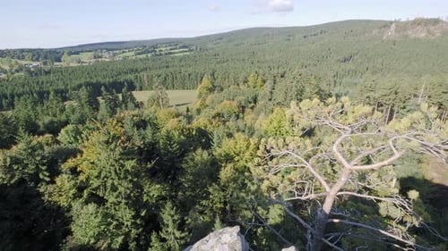 Panoramic view of the forest and meadows from the rock outcrop. Czech landscape, Europe
