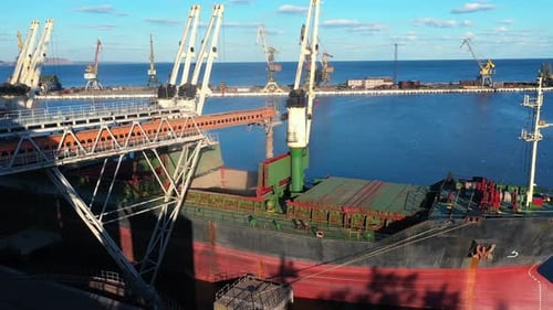Aerial of Wheat Loading to Bulker Ship Cargo Hold at Sea Grain Elevator in Sea Port Wheat Shipment
