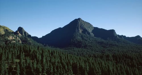 Majestic Mountain Rise Above Serene Forest Under Clear Blue Sky
