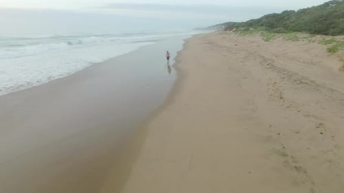 4k Drone Footage Of Attractive Surfer Man Walking On Beach With Surfboard At Sunrise With Ocean W...