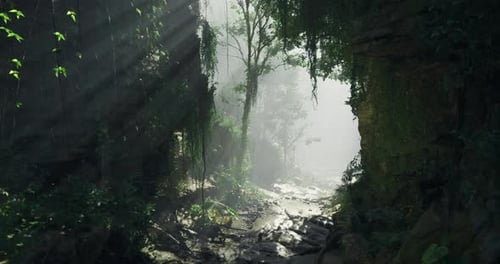 Sunlight Filters Through Dense Foliage in a Tranquil Forest Valley