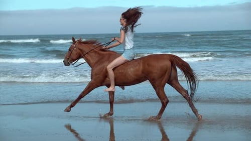 Woman Horseback Riding in Sunny Woods