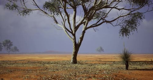 Desert Landscape with Lone Tree and Moving Clouds