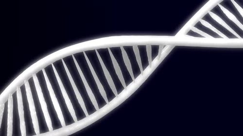 Rotating White DNA Double Helix Animation Loop