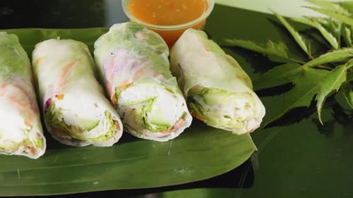 Fresh Spring Rolls on a Green Surface