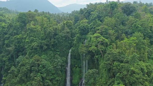 Scenic aerial view of sekumpul waterfall in bali, indonesia