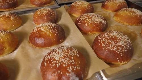 Closeup of Freshly Baked Burger Buns with Sesame Seeds in the Restaurant Kitchen
