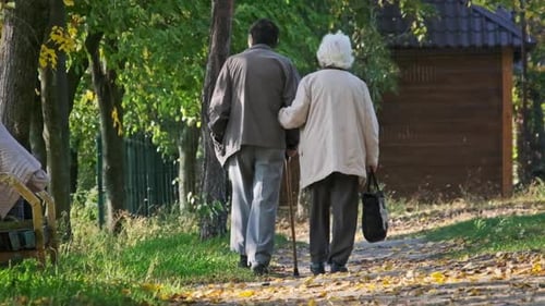 Senior Couple Holding Hands While Walking Together in Autumn Park Slow Motion
