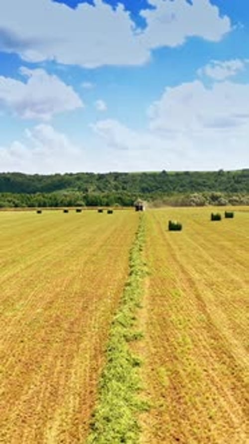 Beau paysage agricole sur le terrain par une belle journée d'été.
