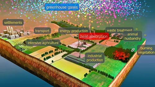Release Of Greenhouse Gases From Human Activities