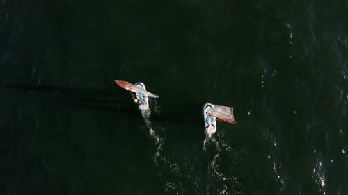 Woman and Man Control the Sail of a Windsurf Board While Sailing Aerial View