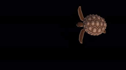 Low Poly Sea Turtle Swimming Animation Loop