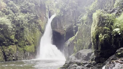 Entdecken Sie einen herrlichen Wasserfall in der Wildnis, an dem starkes, weißes, sauberes Wasser fließt