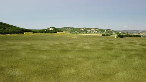 Aerial View on Green Wheat Field in Countryside