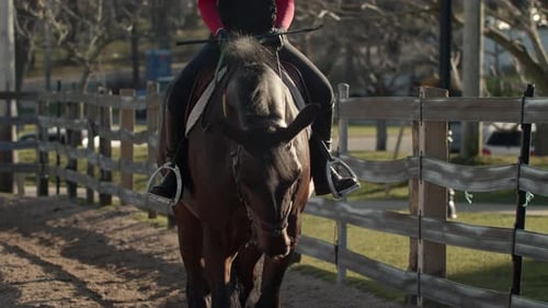 Riding School on a Horse Farm Girls Riding Horses