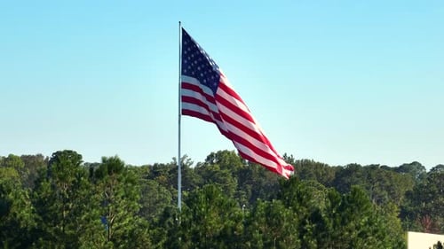 American Flag Waving Proudly Over Green Trees