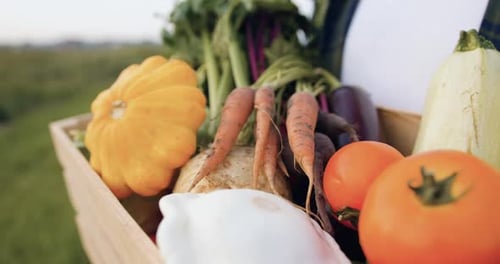 Close up. Handsome farmer carrying box full of organic seasonal vegetables. Organic vegetables