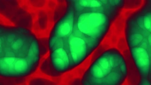 Red and green fractal noise turbulence animation background