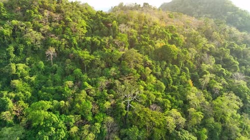 Majestic tropical forest on towering mountains by aerial view drone.