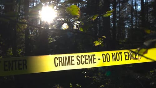 Crime scene forensic police tape in front of a sunny and thick wooded area, bokeh blurry background.