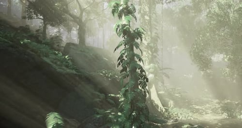Sunlight Filters Through Lush Greenery in Tranquil Forest Setting