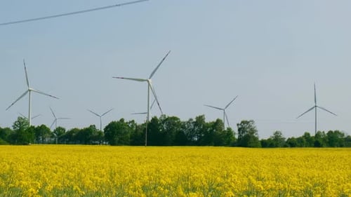 Wind Turbine on Grassy Yellow Farm Canola Field Against Cloudy Blue Sky in Rural Area Concept of