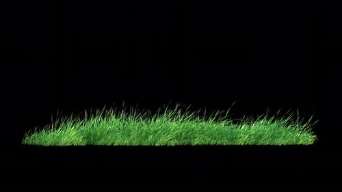 Grass Wind Loop on Alpha 4K.
