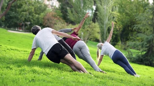 Group of Active Seniors Practicing Yoga in the Park