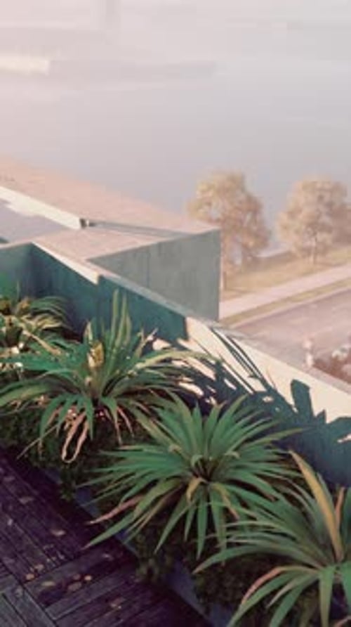 Rooftop Garden Plants Swaying with Urban Cityscape View