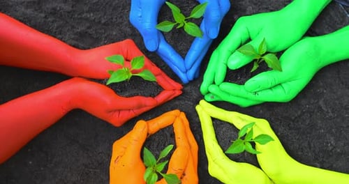 Diversidad, grupo y mano a mano con la planta en la naturaleza para el cambio en el desarrollo empresarial
