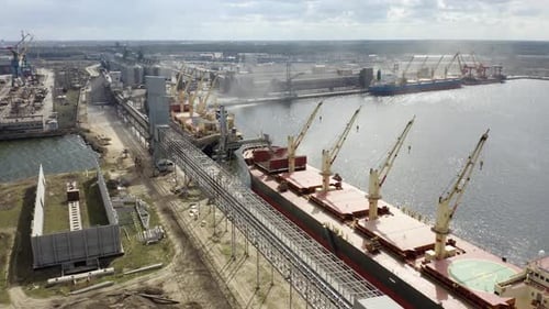 food crisis 2023. loading grain into holds of sea cargo vessel.