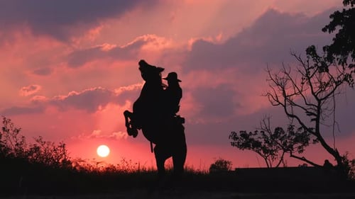 Silhouette one cowboy is riding horse in front of sunset on slope near tree