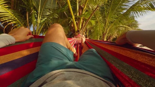 First Person View Of Man Shifting Body In Colorful Hammock Under Palm Trees In Tropical Forest While