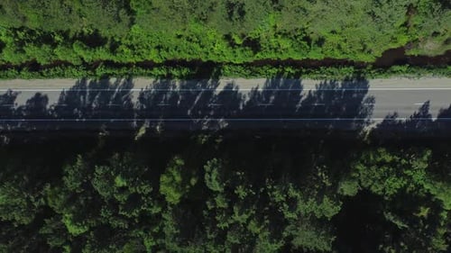 Aerial View of Road and Green Forests in Open Air on Summer Day Irrl