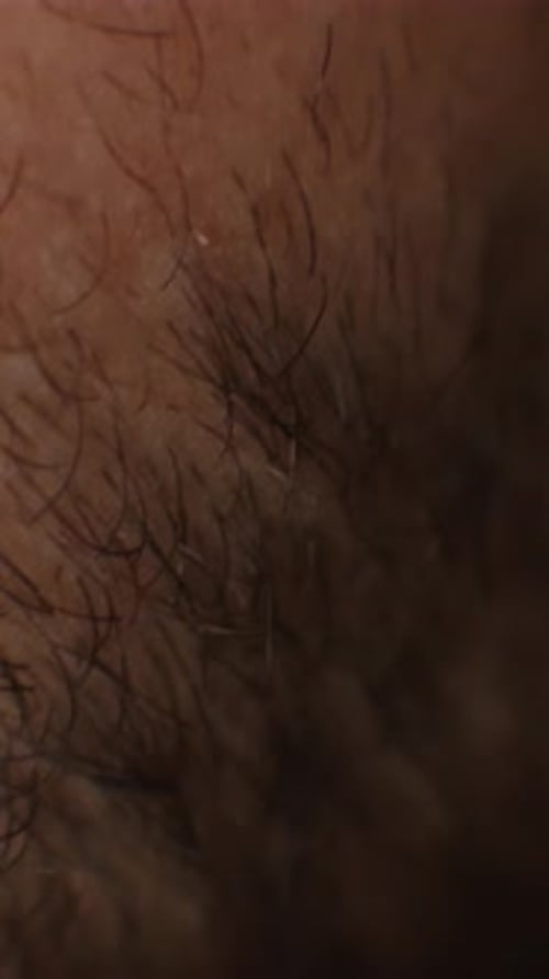 Extreme Closeup Macro View of Human Body Hair and Skin Texture Revealing Fine Follicles Natural