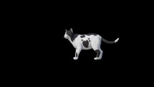 Straßenkatze schaut sich um