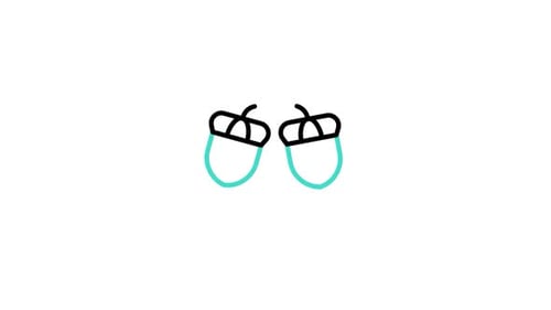 Acorn Animated Icon