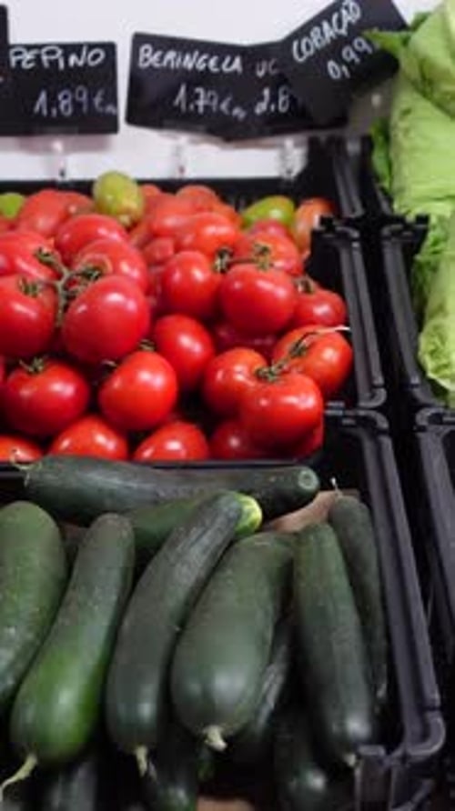 Vertical Video Cucumbers and Tomatos for Sale on Market with Price