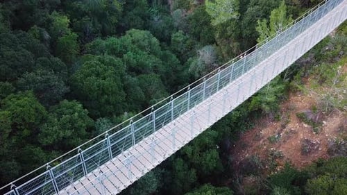 Suspended bridge surrounded by lush green forest, aerial view