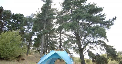 A blue tent is pitched among tall trees in a serene forest setting
